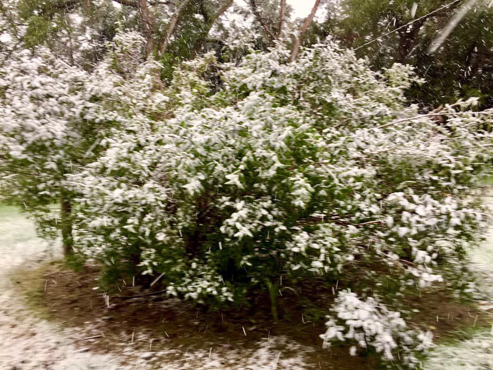 Snow, 10/14